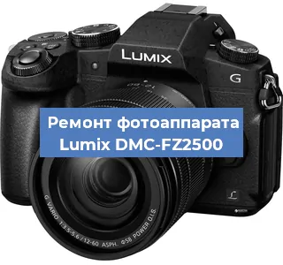 Замена матрицы на фотоаппарате Lumix DMC-FZ2500 в Нижнем Новгороде